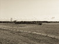 Rheinwiesen  Pentax 645N, 2.8/75, Gelbfilter, Ilford Delta 100@64 - 01.09.2018 -