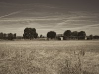 Flugplatz der Modellflieger  Pentax K-1, smc PENTAX-FA 31mm F1.8 AL Limited  - 04.August 2018 - : Felder, Flugplatz, Himmel, Landschaft, Landwirtschaft