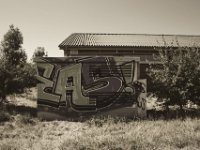 Graffiti vor dem Maststall  Pentax K-1, smc PENTAX-FA 31mm F1.8 AL Limited  - 04.August 2018 - : Graffiti, Landschaft, Landwirtschaft, Massentierhaltung, Mastanlage, Stall