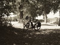 Pause  Pentax K-1, smc PENTAX-FA 31mm F1.8 AL Limited  - 04.August 2018 - : Bank, Bäume, Eiche, Fahrrad, Licht und Schatten, Winora, Yakun Urban