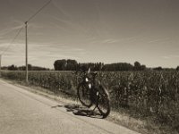 Kurz abgestellt  Pentax K-1, smc PENTAX-FA 31mm F1.8 AL Limited  - 04.August 2018 - : Fahrrad, Maisfeld, Straße, Telegrafenmast, Winora, Yakun Urban
