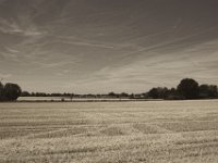 Getreidestoppelfeld  Pentax K-1, smc PENTAX-FA 31mm F1.8 AL Limited  - 04.August 2018 - : Felder, Haus, Windräder