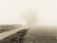 Nebel zwischen den Feldern  Pentax 645N, 2.8/75, Gelbfilter, Fuji Acros 100@50