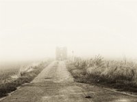 Traktor und Hänger im Nebel  Pentax 645N, 2.8/75, Gelbfilter, Fuji Acros 100@50