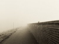 Abfall und Krähe im Nebel auf der Deichmauer  Pentax 645N, 2.8/75, Gelbfilter, Fuji Acros 100@50