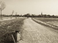 Die jungen Bäume sind in der Sommerhitze vertrocknet  Pentax 645N, 2.8/45, Gelbfilter, Ilford Delta 400@320