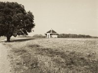 Weg, Baum und Pavillion ohne Nebel auf dem Rückweg  Pentax 645N, 2.8/45, Gelbfilter, Ilford Delta 400@320