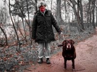 Begegnung mit Frau und Hund  Pentax K-1, HD Pentax D FA 2.8/24-70 ED SDM WR  - 05.April 2018 - : Frau, Hund, Regen, Wald, Weg