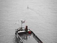 Kieslastkahn  Pentax K-1, HD Pentax D FA 2.8/24-70 ED SDM WR  - 05.April 2018 - : Fluss, Lastkahn, Regen, Rhein, Rheinbrücke