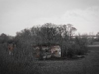 Altes Gemäuer, Fort Blücher  Pentax K-1, HD Pentax D FA 2.8/24-70 ED SDM WR  - 05.April 2018 - : Fort Blücher, Landschaft, Regen, Taube