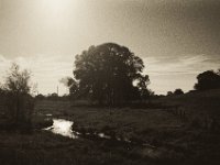 Der Bach im Gegenlicht  Pentax SuperA, SMC M 2.8/40, Gelbfilter, Bergger Pancro 400