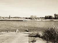 Fähranlegestelle Orsoy bei Niedrigwasser  Pentax SuperA, SMC M 2.8/40, Gelbfilter, Bergger Pancro 400