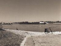 Der Radfahrer am Rheinufer  Pentax 645N, SMC A 2.8/45, Gelbfilter, Fuji Acros @50