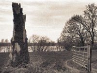 Alles wird einmal enden  Pentax MZ-S, SMC FA  1.9/43 Limited, Bergger Pancro 400