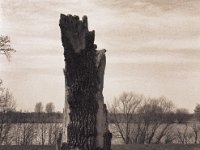 Noch einmal Erinnerung an Vergänglichkeit  Pentax MZ-S, SMC FA  1.9/43 Limited, Bergger Pancro 400