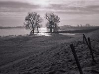 Rheinvorland im Hochwasser  Pentax LX, SMC 2.8/40; Adox Silvermax 100