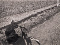 Auf dem Heimweg mit dem Leihfahrrad  Pentax LX, SMC 2.8/40; Adox Silvermax 100