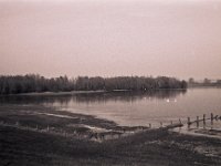 Schwäne im Hochwasser  Pentax LX, SMC 2.8/40; Adox Silvermax 100