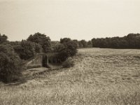Wehr in den Weiden  Pentax SuperA, SMC Pentax M 2.8/40, Adox Silvermax @64