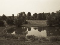 Rheinauenland  Pentax SuperA, SMC Pentax M 2.8/40, Adox Silvermax @64
