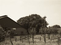 Die Störche haben noch etwas Zeit  Pentax Super A, SMC Pentax M 2.8/40, Adox Silvermax 100@64