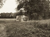 Graffiti  Pentax K-1, smc PENTAX-FA 31mm F1.8 AL Limited  -09.September 2018 - : Bäume, Felder, Graffiti, Landschaft, Trafohaus, Weg