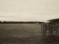 Rollrasenfeld  Pentax K-1, smc PENTAX-FA 31mm F1.8 AL Limited  -09.September 2018 - : Bäume, Felder, Landschaft, Landwirtschaft, Rollrasen