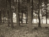 BIG auf kleinem Haus  Pentax K-1, smc PENTAX-FA 31mm F1.8 AL Limited  -09.September 2018 - : Bäume, Gebäude, Graffiti, Landschaft