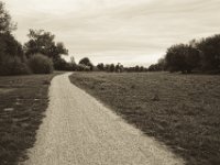 All along the watchtower  Pentax K-1, smc PENTAX-FA 31mm F1.8 AL Limited  -09.September 2018 - : Bäume, Landschaft, Weg, Wiese, Xanten