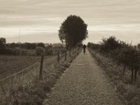 Radlerin  Pentax K-1, smc PENTAX-FA 77mm F1.8 Limited  -09.September 2018 - : Bäume, Fahrrad, Frau, Landschaft, Mensch, Weg
