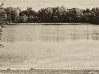 Am Ufer des Auesees  Pentax K-1, smc PENTAX-FA 77mm F1.8 Limited  -09.September 2018 - : Auesee, Bäume, Landschaft, See, Wesel