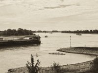 Ruderer und Autotransporter  Pentax K-1, smc PENTAX-FA 77mm F1.8 Limited  -09.September 2018 - : Fluss, Landschaft, Lastkahn, Menschen, Rhein, Ruderboot, Schiff