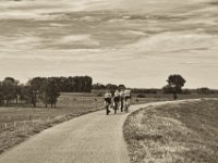 Training auf dem Deich  Pentax K-1, smc PENTAX-FA 77mm F1.8 Limited  -09.September 2018 - : Fahrrad, Landschaft, Menschen, Rennradler, Rheindeich