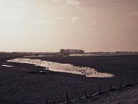 Rheinvorland nach dem Hochwasser  Fuji GW 690 III, Bergger Pancro 400@320 -14.01.2018 -