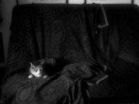 Grey  Fuji GW 690 III,  Bergger Pancro 400@320  - 14.01.2018 -