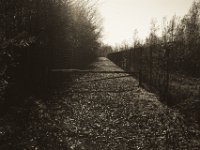 Tour zwischen Zäunen  Pentax K-1, smc PENTAX-FA 43mm F1.9 Limited  - 17.November 2018 - : Herbst, Landschaft, Laub, Licht und Schatten, Weg, Wegschranke, Wegsperre, Zaun
