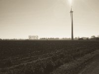 Schatzsucher auf dem Acker  Pentax K-1, smc PENTAX-FA 43mm F1.9 Limited  - 17.November 2018 - : Acker, Felder, Herbst, Landschaft, Mensch, Windrad