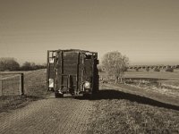 Kuhtransport 1  Pentax K-1, smc PENTAX-FA 43mm F1.9 Limited  - 17.November 2018 - : Anhänger, Herbst, Kühe, Landschaft, Landwirtschaft, Rheindeich, Trecker, Viadukt, Weg