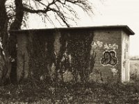 Trafohaus  Contax Aria, Planar 1.4/50, Bergger Pancro400 @640 -18.12.2018 -