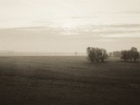Rheinwiesen am frühen Morgen  Pentax MZ-S, SMC FA  1.8/31 Limited, Bergger Pancro 400@320