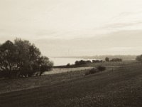 Das Kraftwerk hinterm Fluss im Morgendunst  Pentax MZ-S, SMC FA  1.8/31 Limited, Bergger Pancro 400@320