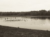 Aufbruch und Abflug  Pentax MZ-S, SMC FA  1.8/31 Limited, Bergger Pancro 400@320 in PMK 1/2/100 - 18.10.2018 -