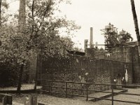 Oben auf dem Steg im Landschaftspark  Pentax MZ-S, SMC FA  1.8/31 Limited, Bergger Pancro 400@320