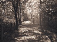 Licht und Schatten auf dem Kleine Emscher Weg Höhe Walsum - Marxloh  Pentax MZ-S, SMC FA  1.8/31 Limited, Fuji Acros @50