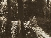 ..und noch ein Kreuz  Pentax K-1, smc PENTAX-FA 31mm F1.8 AL Limited   - 22.Mai 2018 - : Bäume, Jesus, Kreuz, Kruzifix