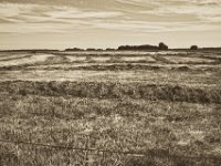 Heu machen, aber mit Muster  Pentax K-1, smc PENTAX-FA 31mm F1.8 AL Limited   - 22.Mai 2018 - : Heu, Landschaft, Landwirtschaft, Weide, Weidenzaun