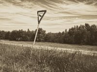 Naturschutz etwas schräg  Pentax K-1, smc PENTAX-FA 31mm F1.8 AL Limited   - 22.Mai 2018 - : Bäume, Landschaft, Naturschutzschild, Rhein, Rheindeich, Rheinwiesen