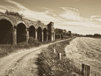 Viaduktweg  Pentax K-1, smc PENTAX-FA 31mm F1.8 AL Limited   - 22.Mai 2018 - : Landschaft, Rheinwiesen, Ruine, Viadukt, Weg, Weide
