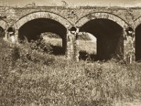 Viaduktbögen  Pentax K-1, smc PENTAX-FA 31mm F1.8 AL Limited   - 22.Mai 2018 - : Landschaft, Rheinwiesen, Ruine, Viadukt, Weg, Weide