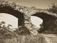 Durchgang  Pentax K-1, smc PENTAX-FA 31mm F1.8 AL Limited   - 22.Mai 2018 - : Holzstapel, Landschaft, Rheinwiesen, Ruine, Viadukt, Weg, Weide